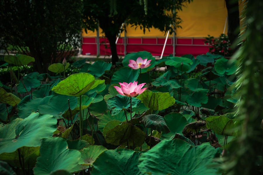 Techniki relaksacyjne: Mindfulness w praktyce