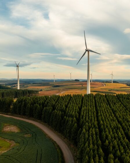 Energetyka odnawialna w Polsce: Nowe możliwości 14 Photo Renewable energy Poland