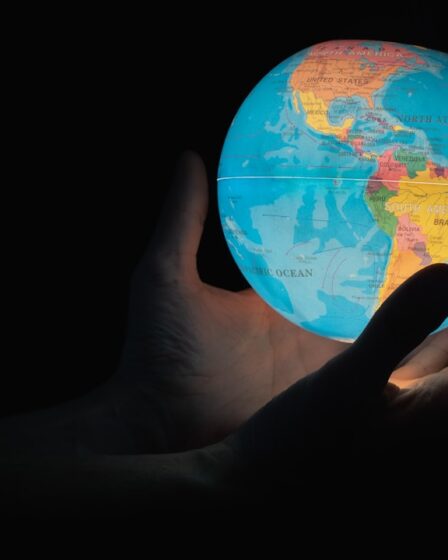 Ochrona środowiska - działania skuteczne 5 Photo environmental protection