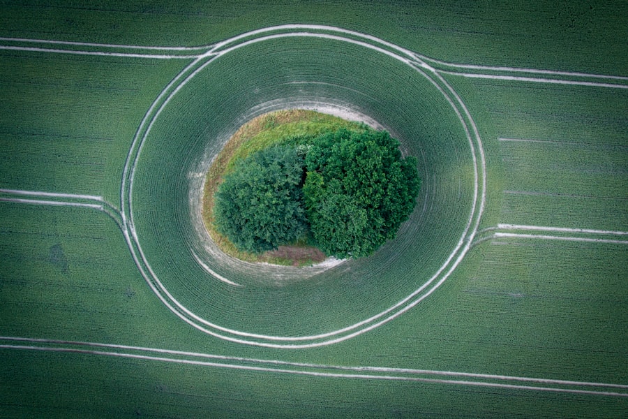 Rozwój ekonomii cyrkularnej: wyzwania i możliwości 3 Photo Circular economy