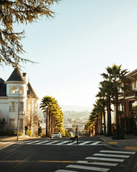 Integracja społeczna: programy wsparcia i integracji społecznej 2 Photo social integration programs