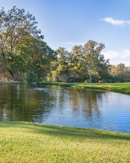 Formy edukacji dorosłych: wybierz najlepszą dla siebie 5 Photo adult education forms