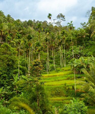 Photo sustainable tourism