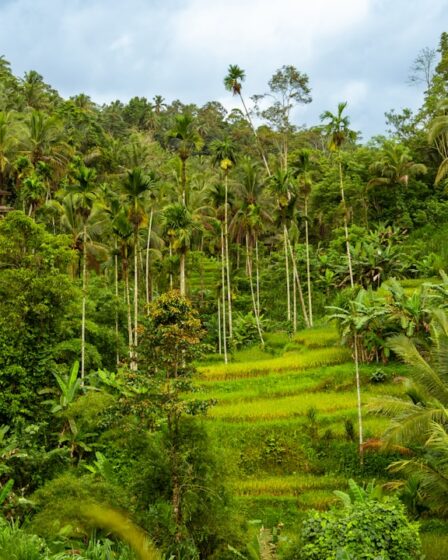 Photo sustainable tourism